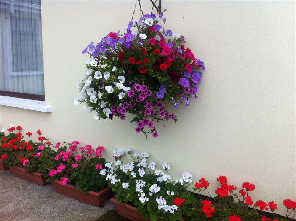 Appartamento Hillview Self Catering Lusk Esterno foto