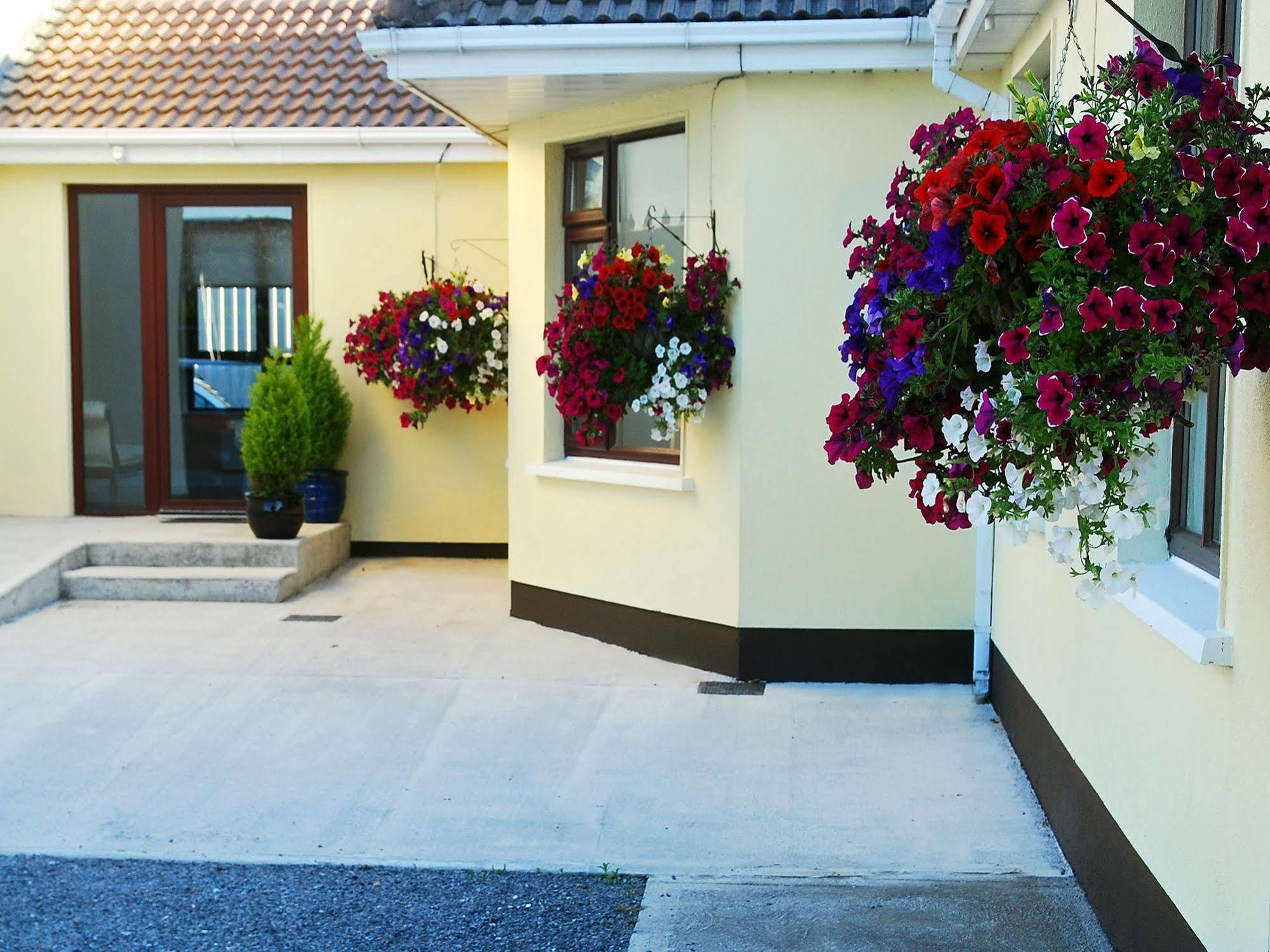 Appartamento Hillview Self Catering Lusk Esterno foto